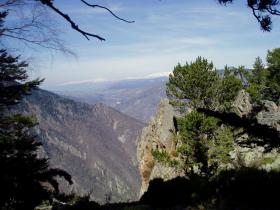 photo coins arrondis